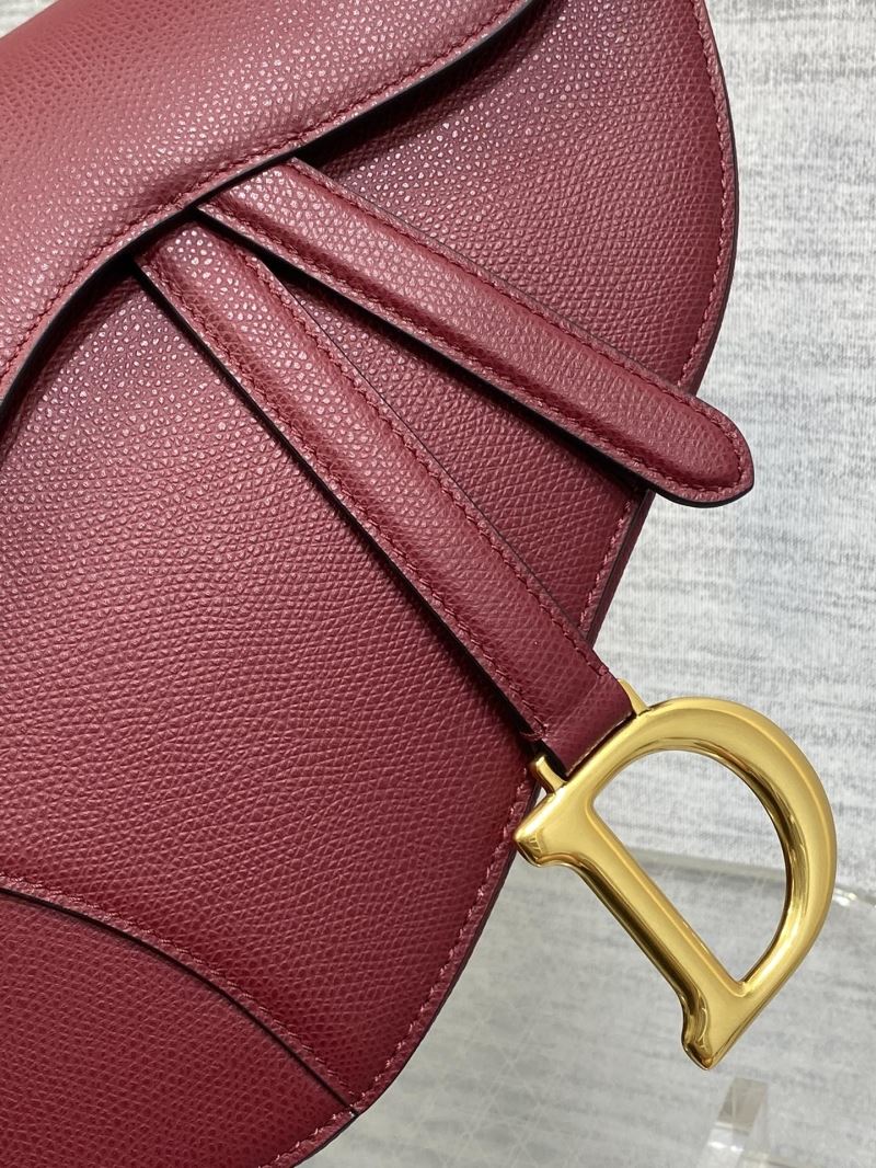 Christian Dior Saddle Bags